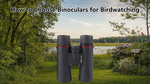 How to Choose Binoculars for Birdwatching: A Complete Guide